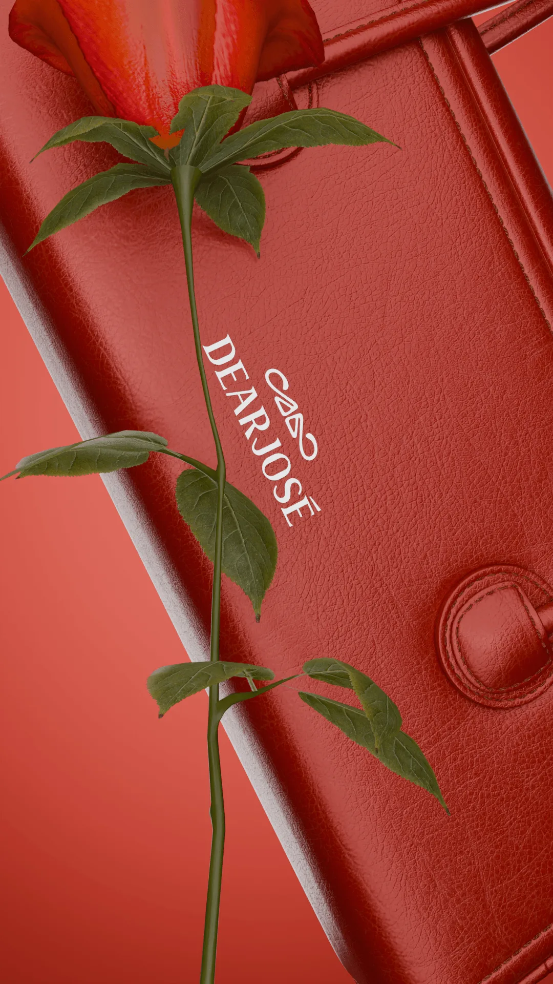 Dearjose in Motion, project image